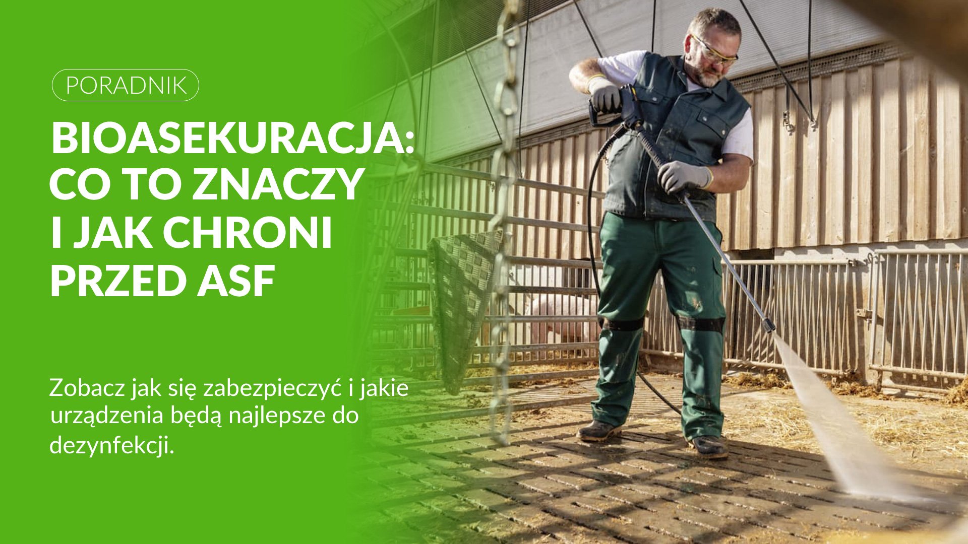 Bioasekuracja – co to znaczy i dlaczego chroni przed ASF