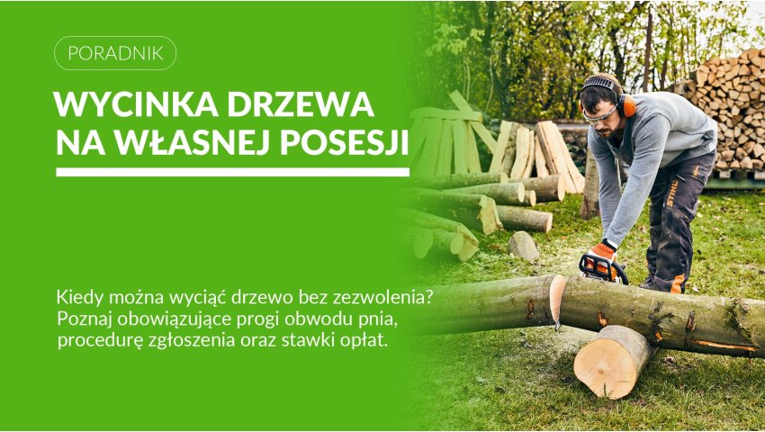 Wycinka drzew na własnej działce w 2026: bez pozwolenia, zgłoszenie czy zezwolenie?