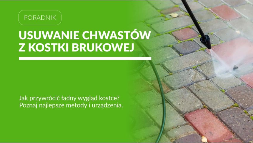 Jak usunąć chwasty z kostki brukowej? Sprawdź, co naprawdę działa