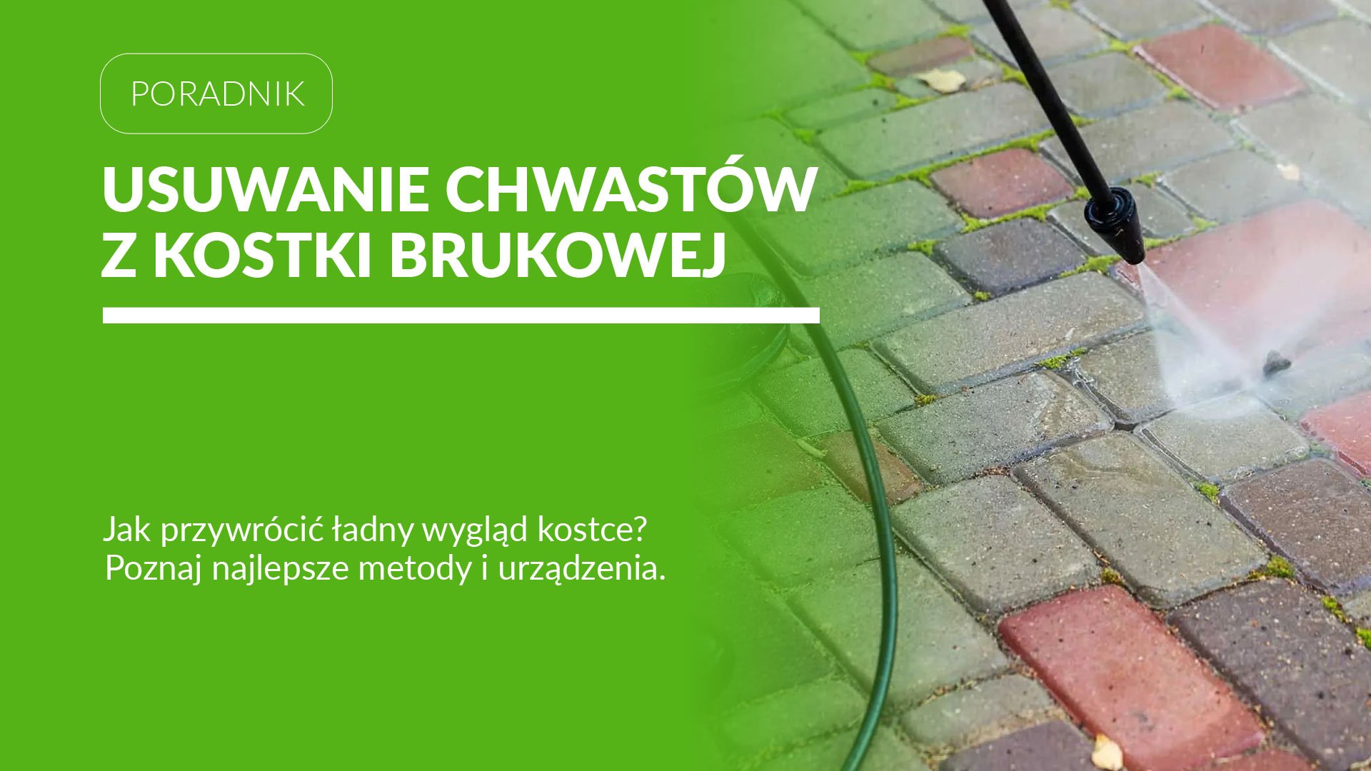 Jak usunąć chwasty z kostki brukowej? Sprawdź, co naprawdę działa