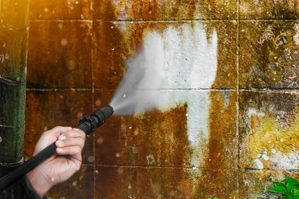 Szczotki i akcesoria Heckermann SVMC16