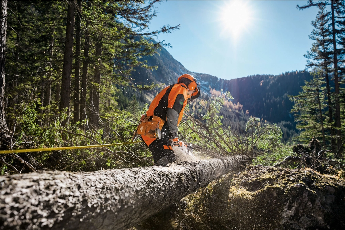 Pilarka STIHL MS 261 C-M w pracy w lesie