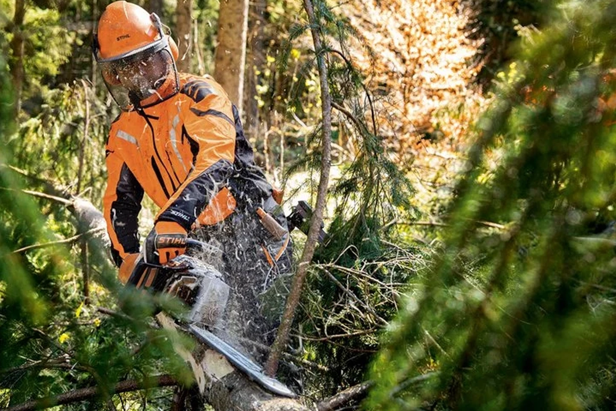 Pilarka STIHL MS 462 w akcji ścinania drzewa