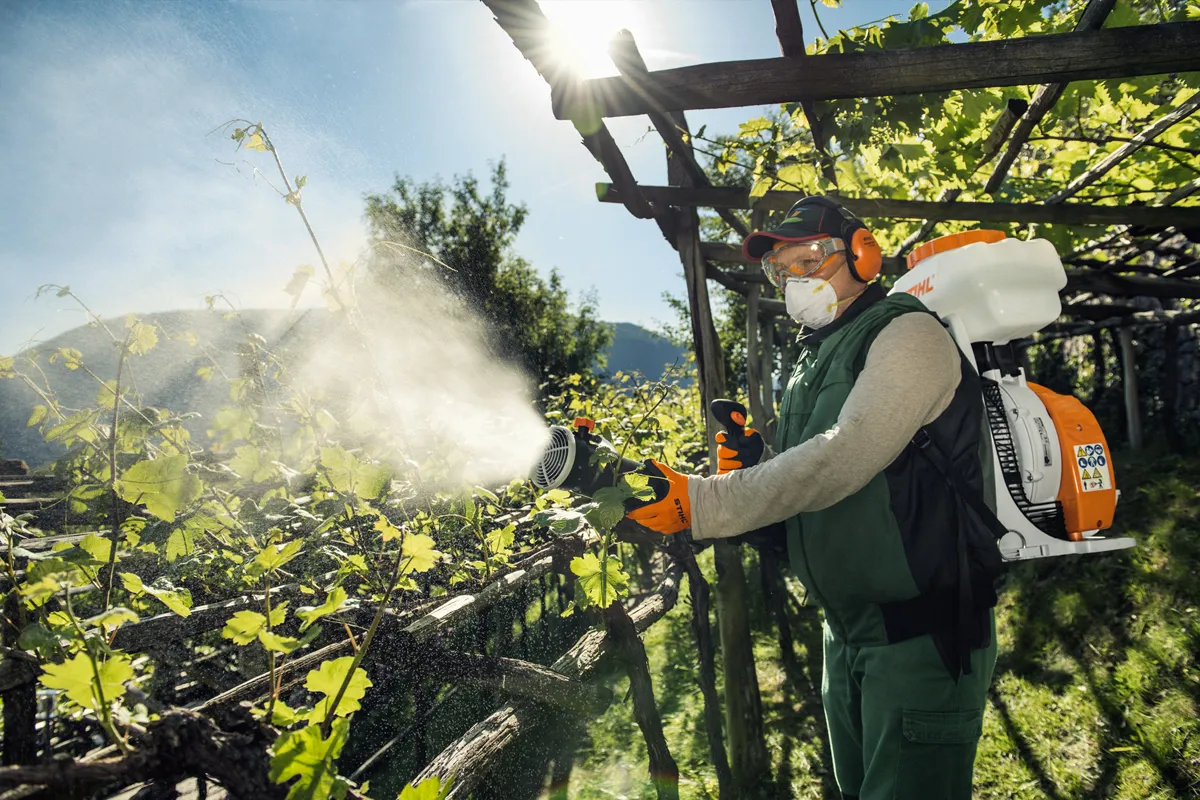 Opryskiwacz Stihl SR 450 podczas pracy w sadzie