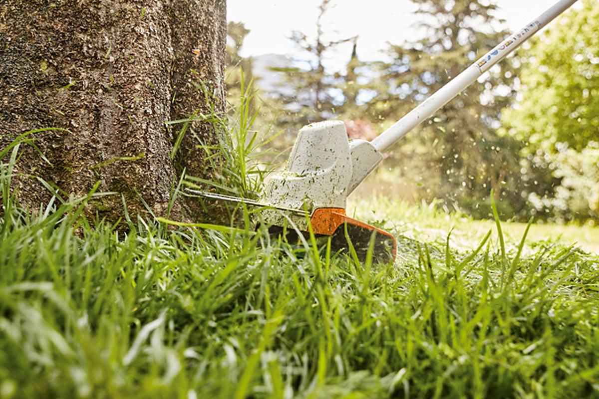 Kosa akumulatorowa STIHL FSA 57 w akcji