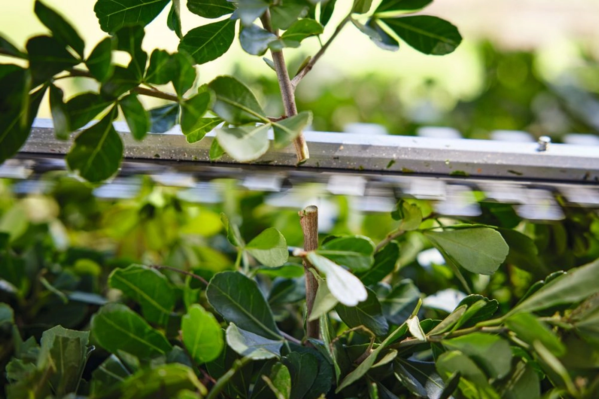 Widok na ergonomiczny uchwyt i wskaźnik LED w nożycach STIHL HSA 40