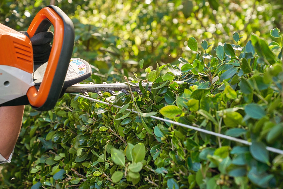 Praca nożycami STIHL HSE 71 przy formowaniu żywopłotu