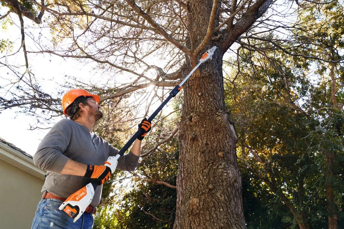 Podkrzesywarka akumulatorowa STIHL HTA 50 podczas pracy na wysokości