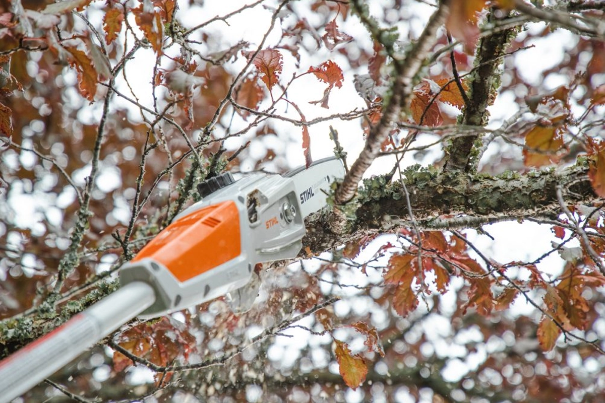 Widok na hak do gałęzi i głowicę tnącą podkrzesywarki STIHL HTA 50