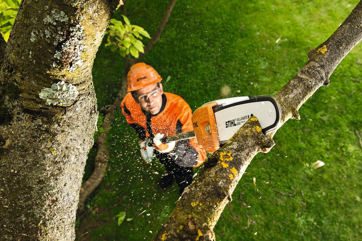 Praca urządzeniem Podkrzesywarka akumulatorowa STIHL HTA 50