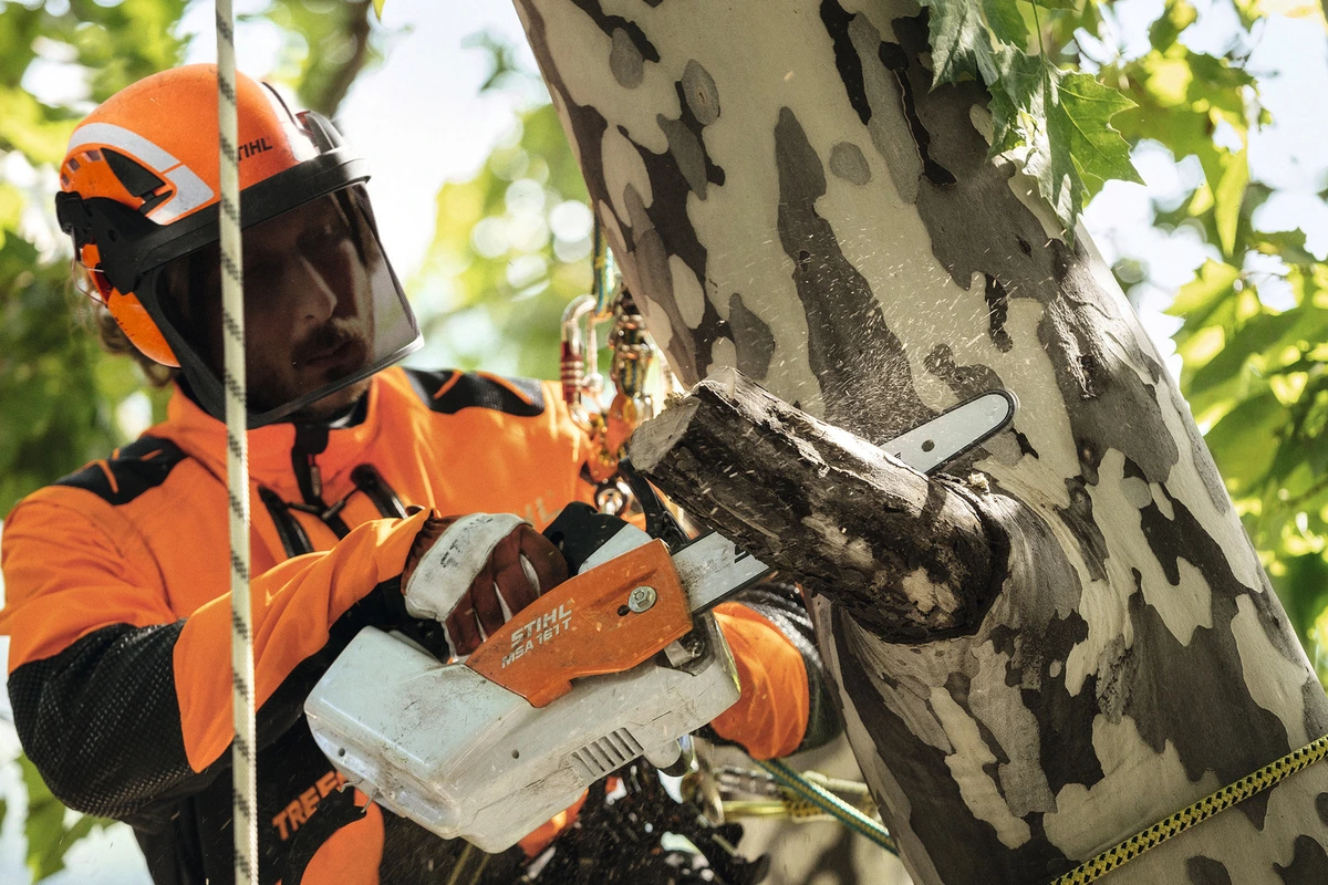 Praca urządzeniem Pilarka akumulatorowa STIHL MSA 190 T