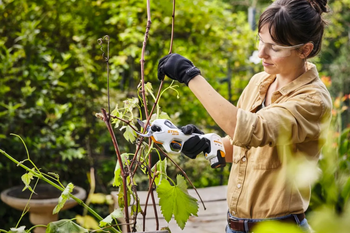 Akumulatorowy Sekator ASA 20 w winnicy