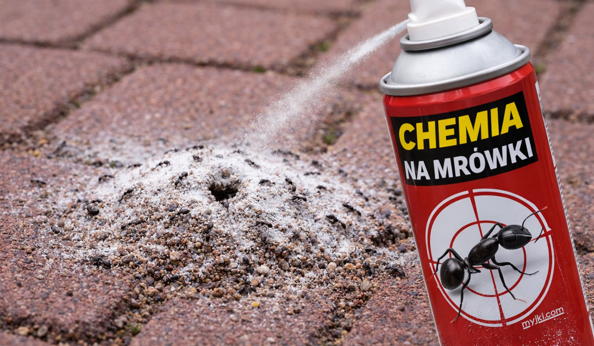 chemia na mrówki
