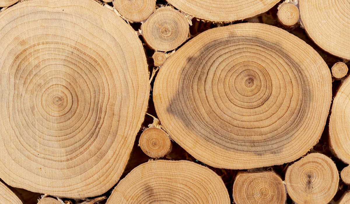 rodzaj i grubość drewna do cięcia